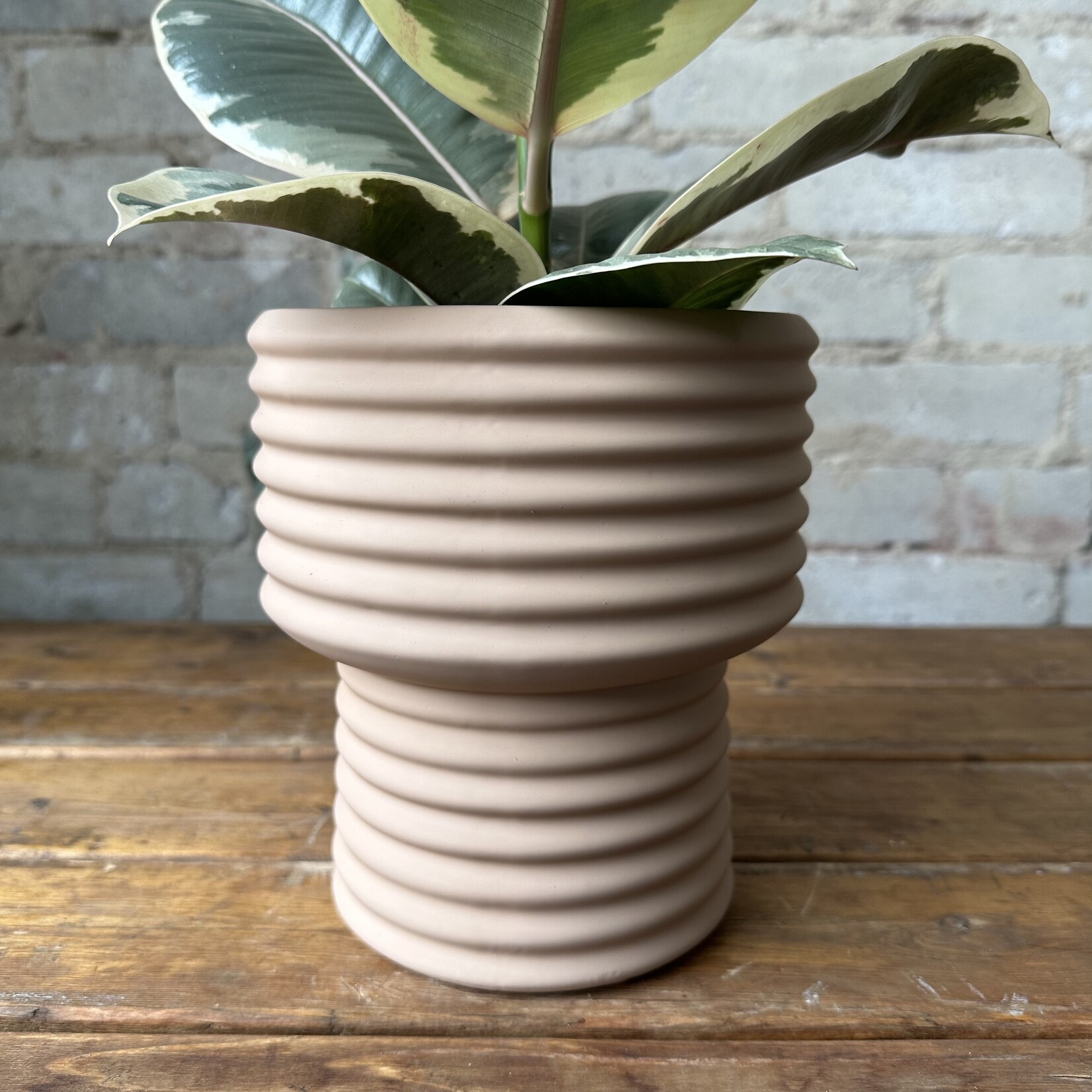 Assorted Pots Camille Nude Pot (fits 5.5")