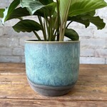 Caribe Pot (fits 6")