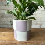 Assorted Pots Checkerboard Pot Lavender (fits 6”)