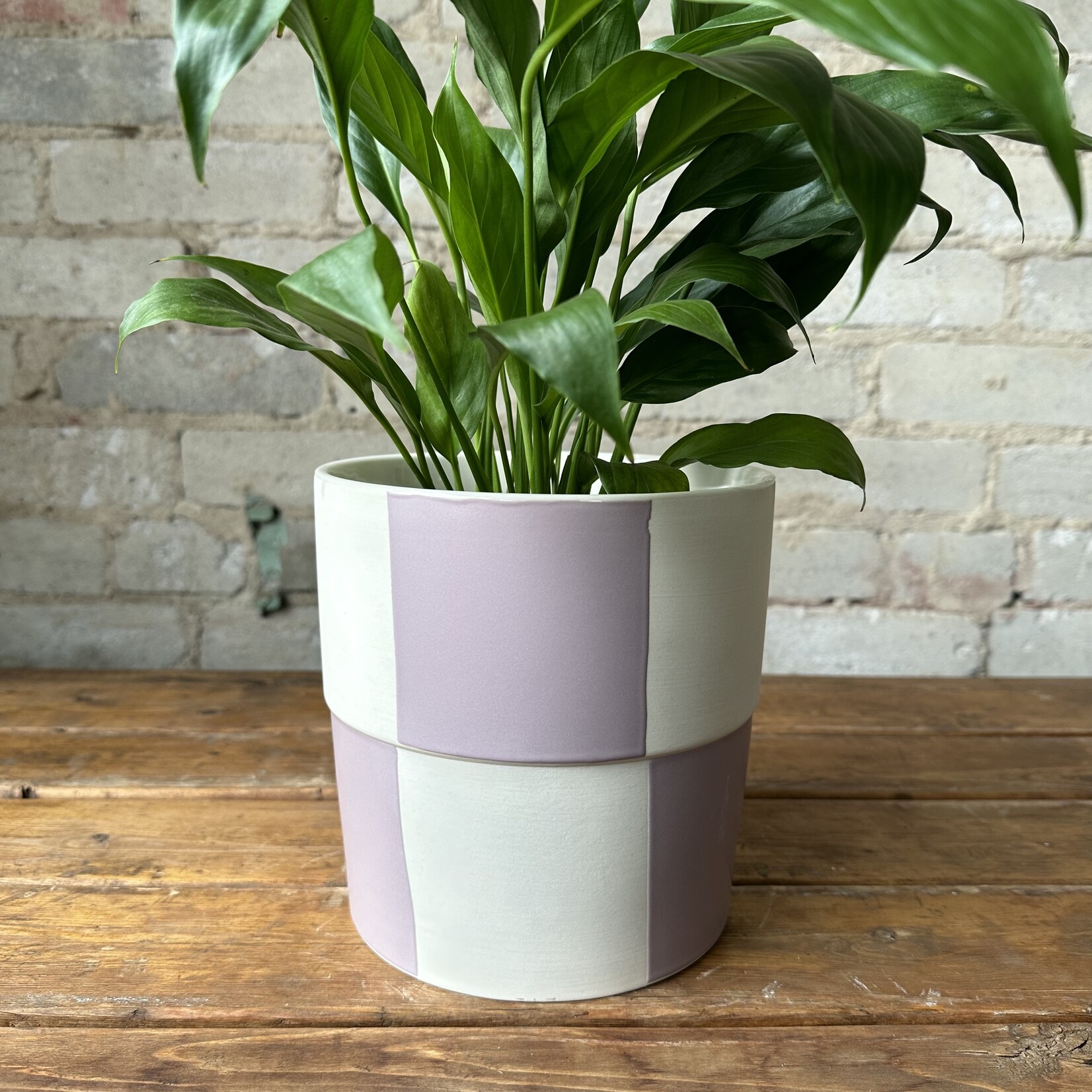 Checkerboard Pot Lavender (fits 6”)