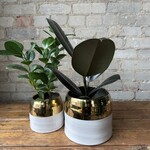 Claire Pot (fits 4")