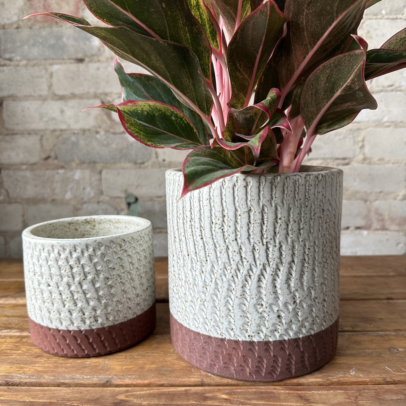 Como Pot (fits 5.5”)