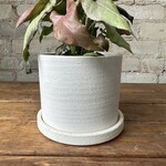 Easton Pot (fits 5")