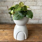 Assorted Pots Echo Footed Pot (fits 5")