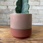 Gavin Pot Pink (fits 5")