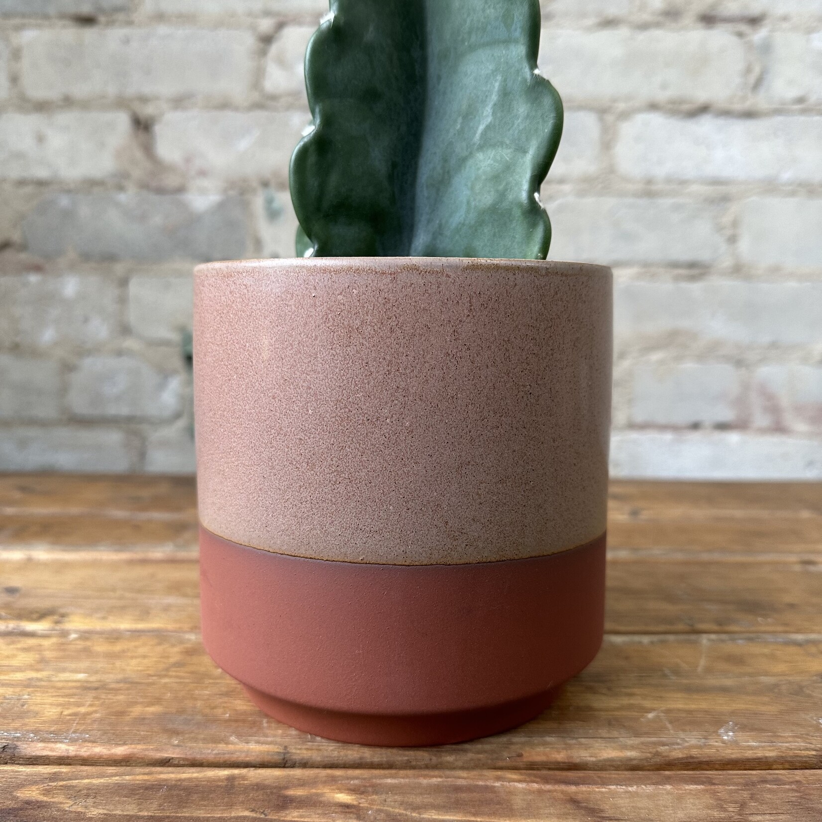 Gavin Pot Pink (fits 5")