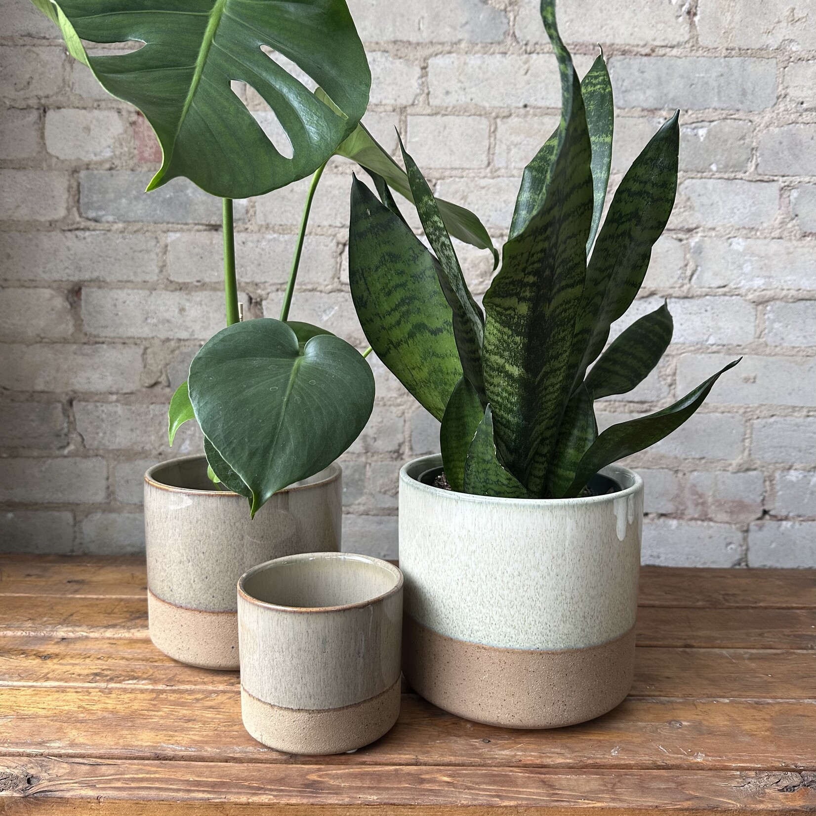 Assorted Pots Lago Pot Cream (fits 6")