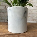 Assorted Pots Marble Pot (fits 5")