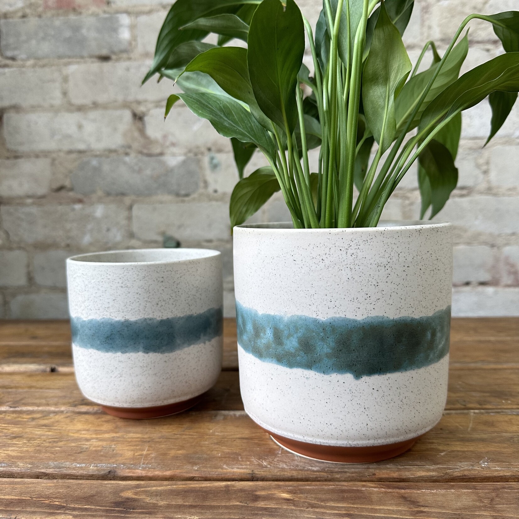 Mateo Pot (fits 4")