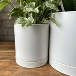 Assorted Pots Romey Pot White (fits 5")