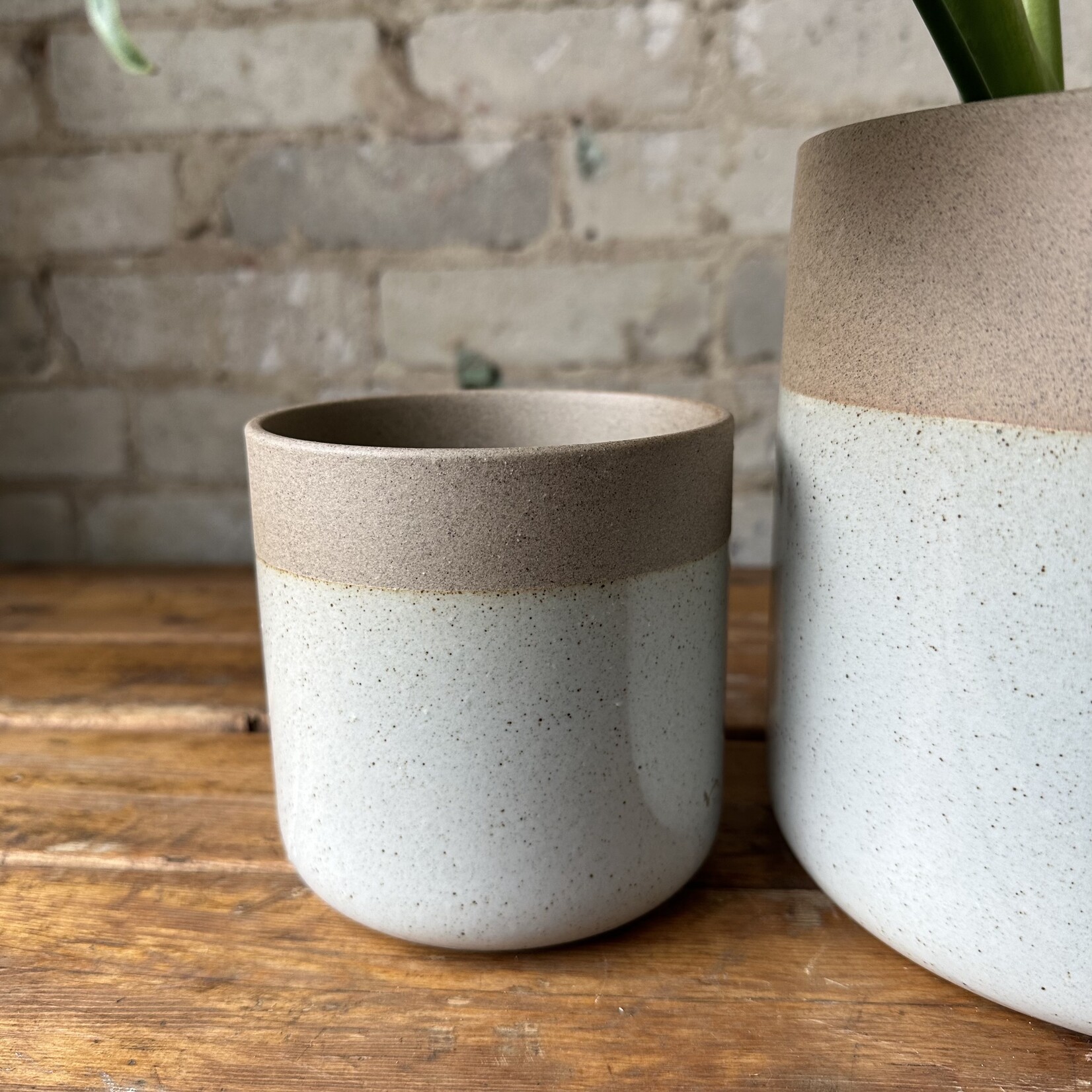 Rooney Pot (fits 4")