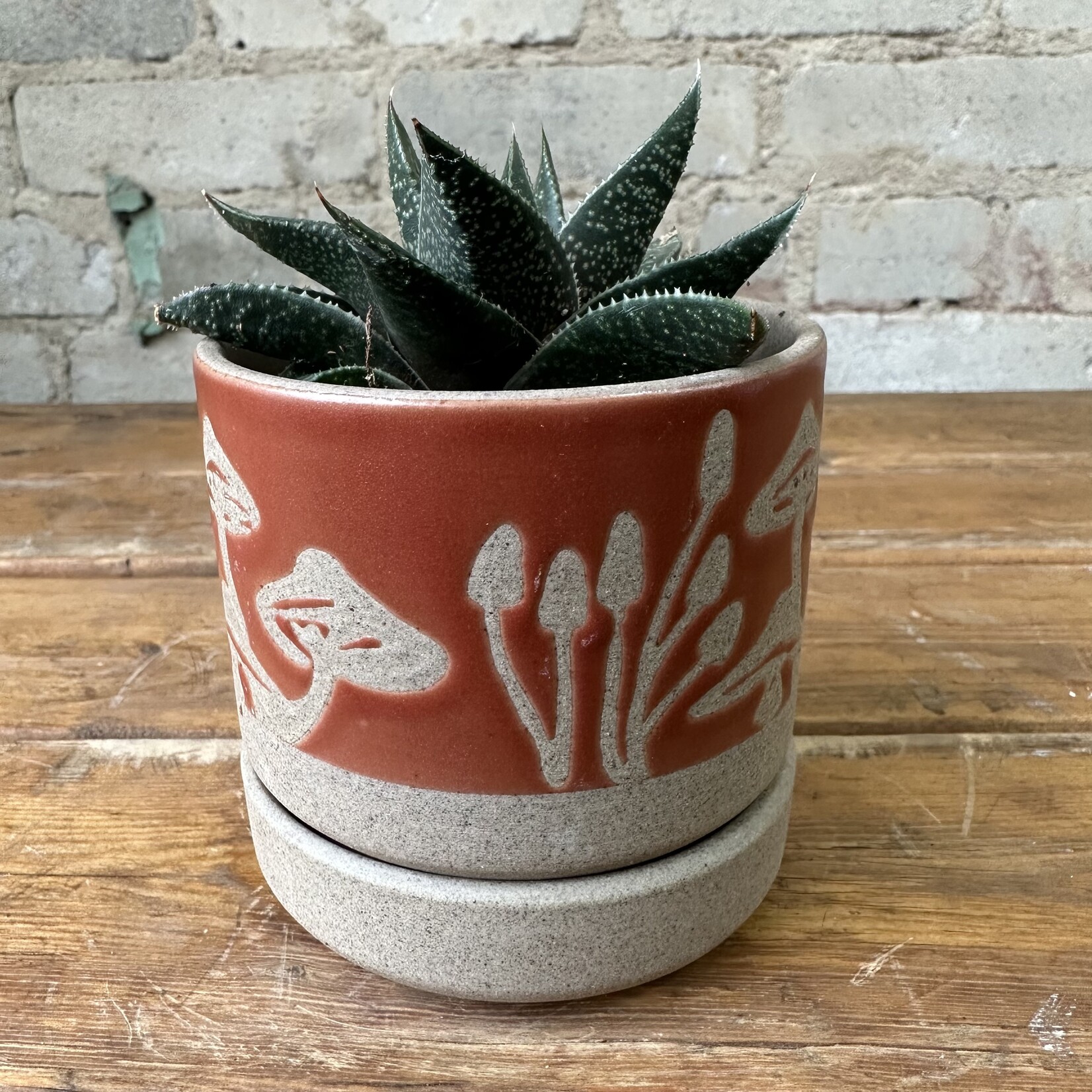Scavenger Pot (fits 3")