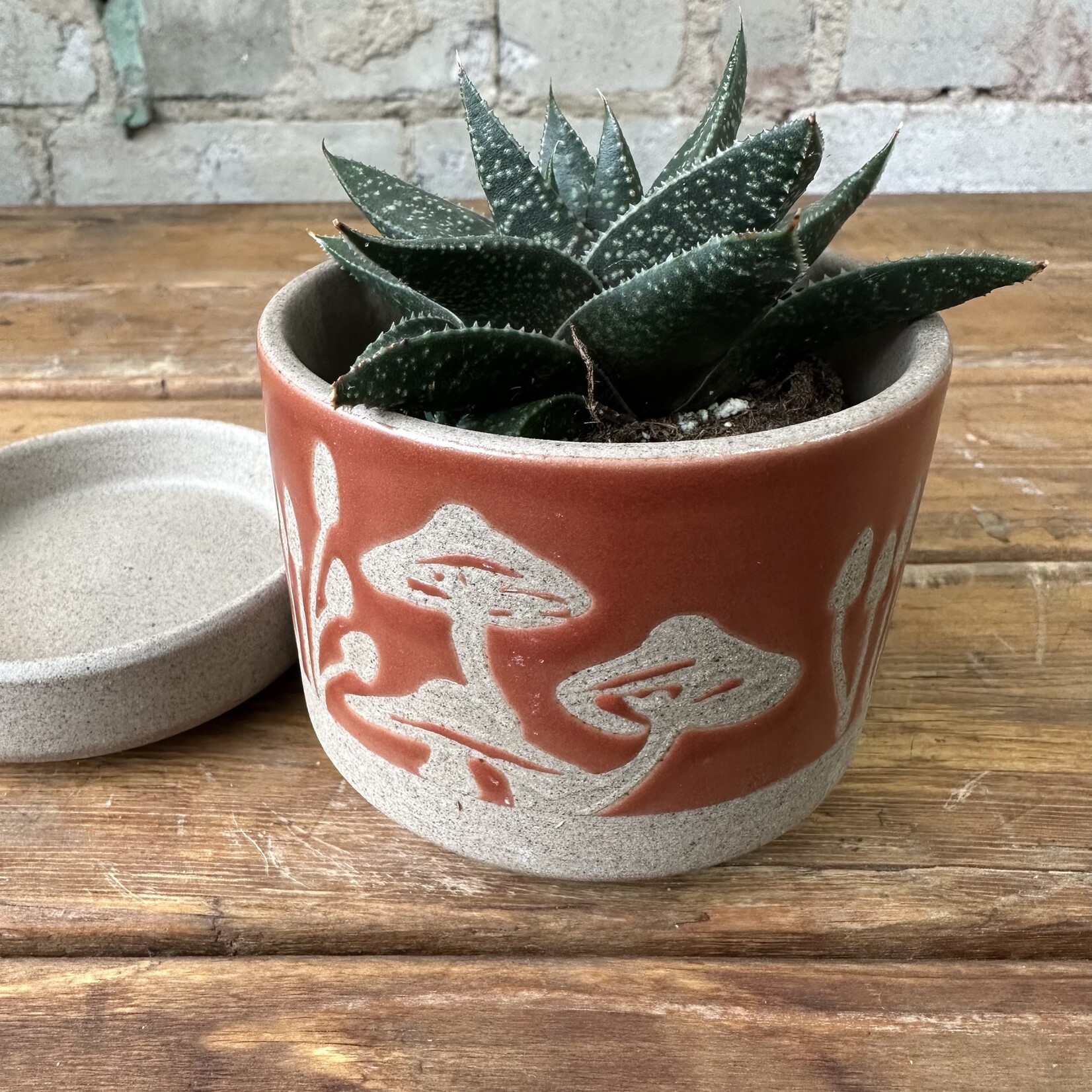 Scavenger Pot (fits 3")