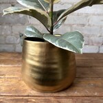 Tegan Pot Gold (fits 5.5")