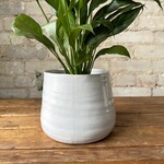 Tegan Pot White (fits 5.5")