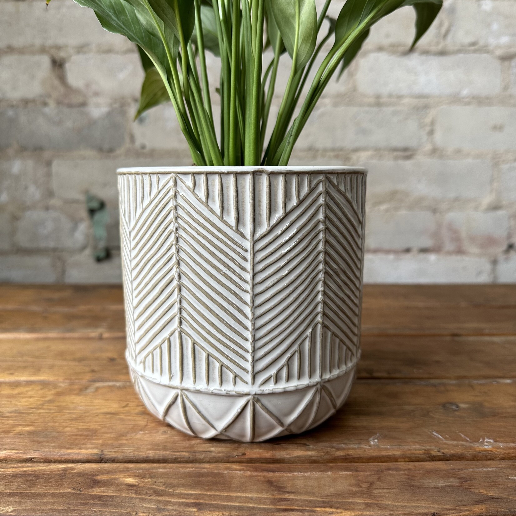 Whitcomb Pot (fits 5")