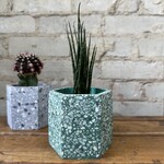 Assorted Pots Terrazzo Mini Pot Green (fits 2.5")