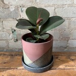 El Cerro Pot (fits 5")