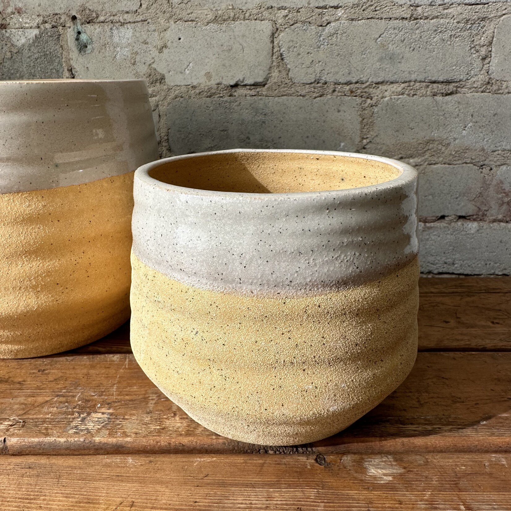 Assorted Pots Altamira Pot (fits 5")