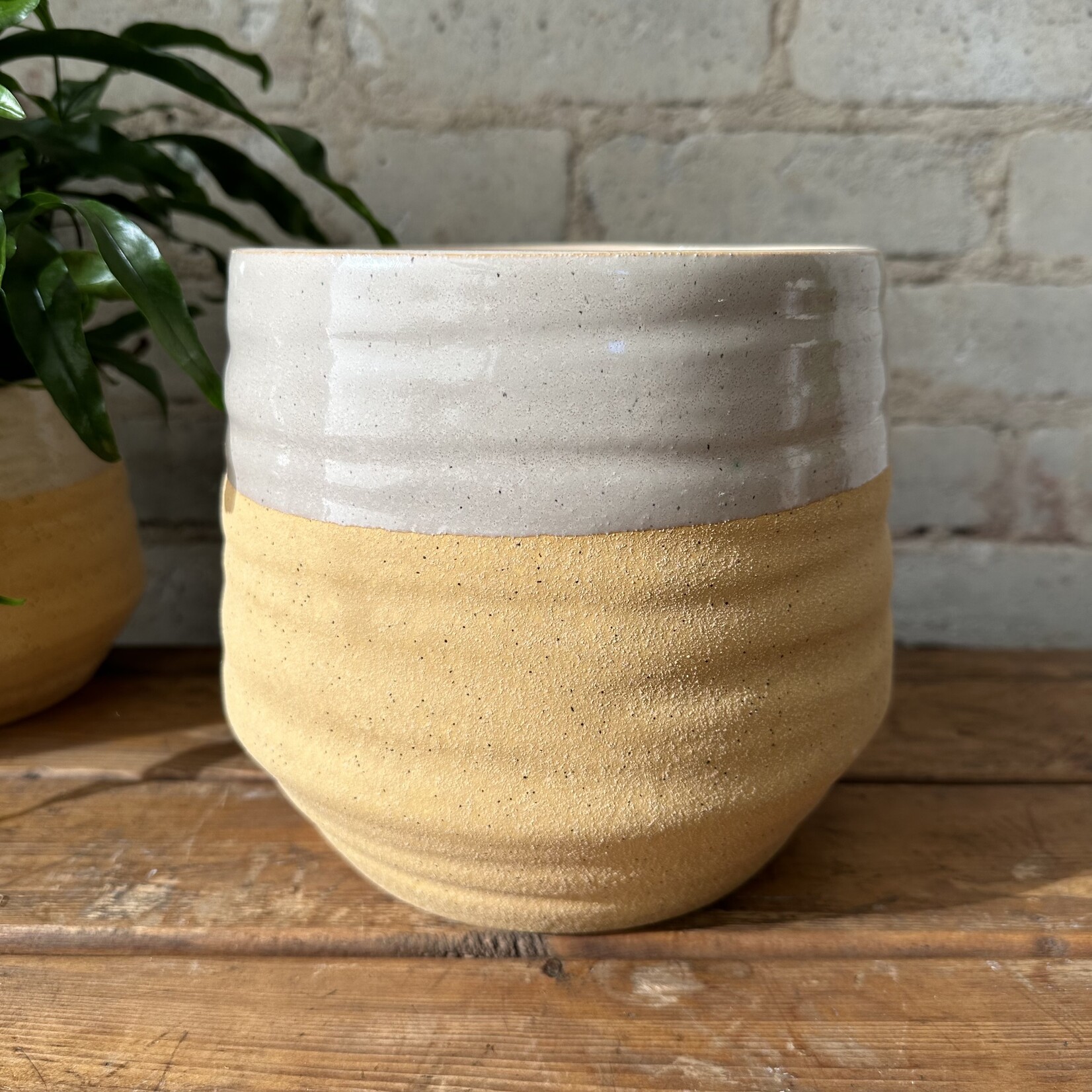 Assorted Pots Altamira Pot (fits 6")