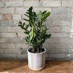 Andreas Pot (fits 6")