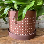 Salamanca Pot (fits 6")