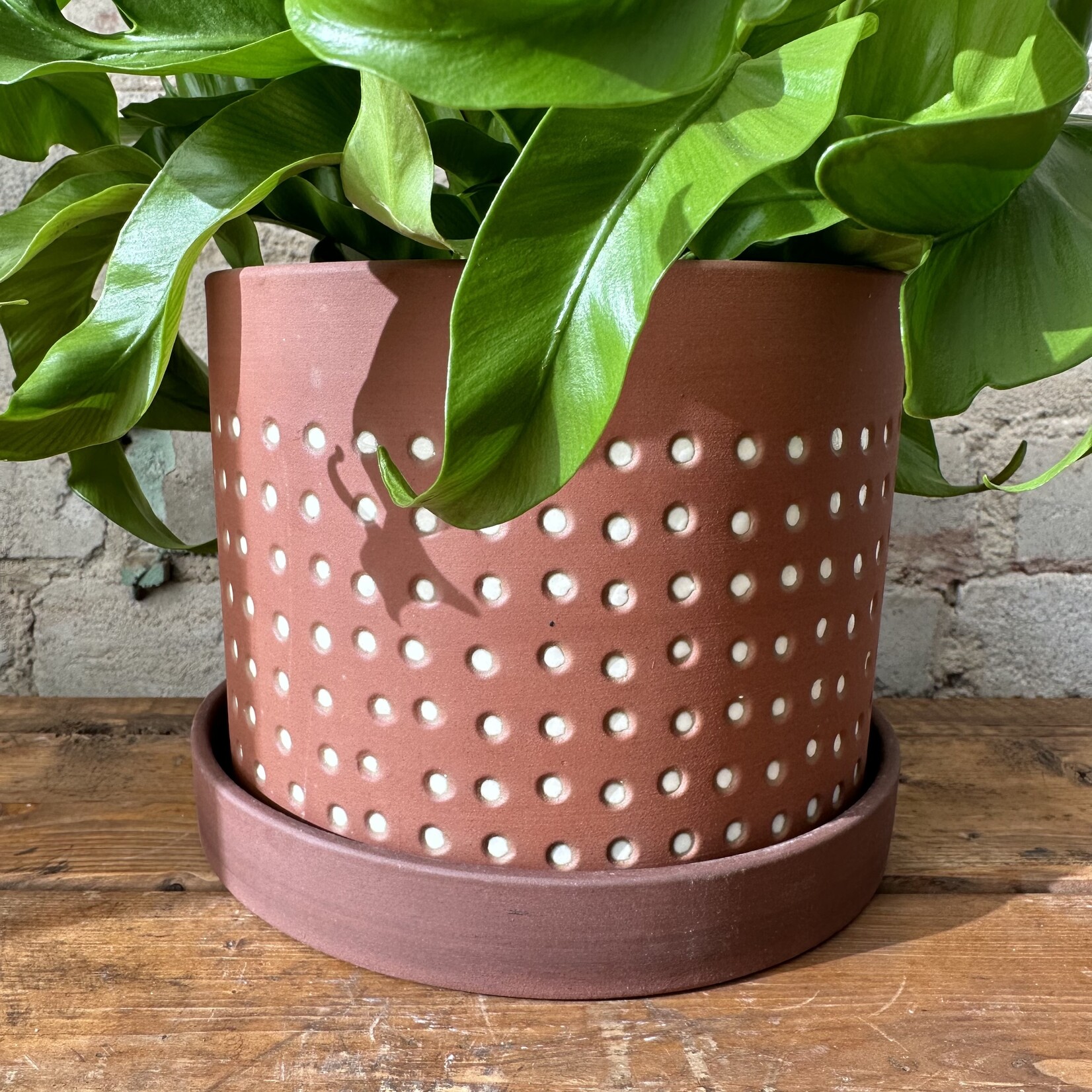 Salamanca Pot (fits 6")