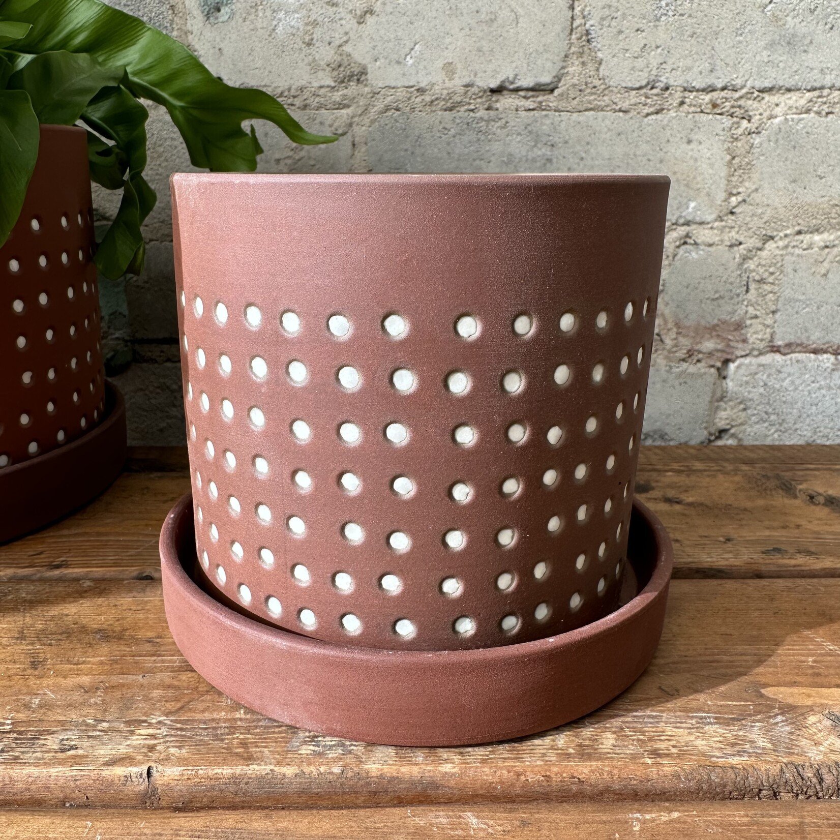 Salamanca Pot (fits 5")