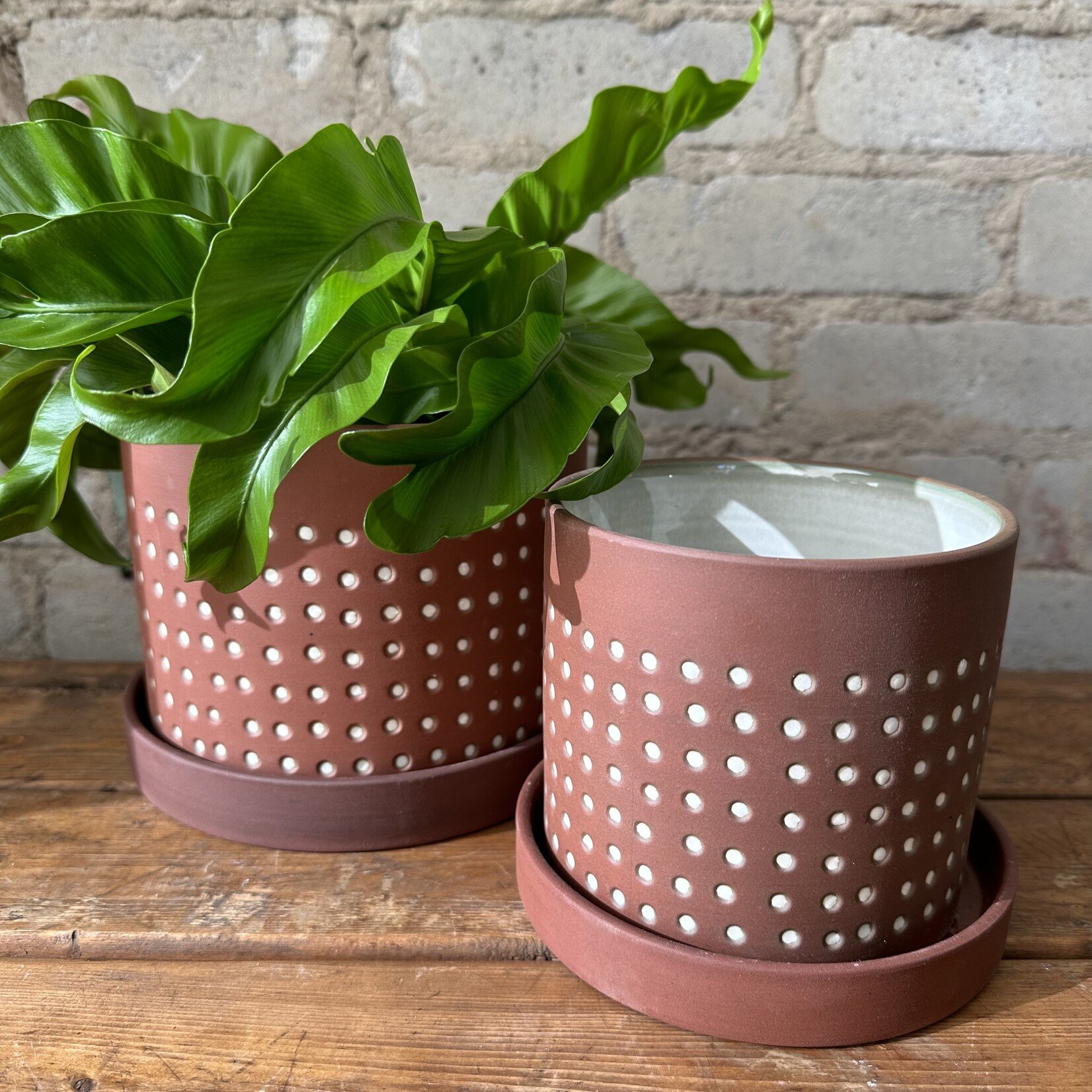 Salamanca Pot (fits 5")