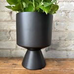 DeVille Pot Black (fits 6")
