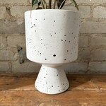DeVille Pot Speckled (fits 6")