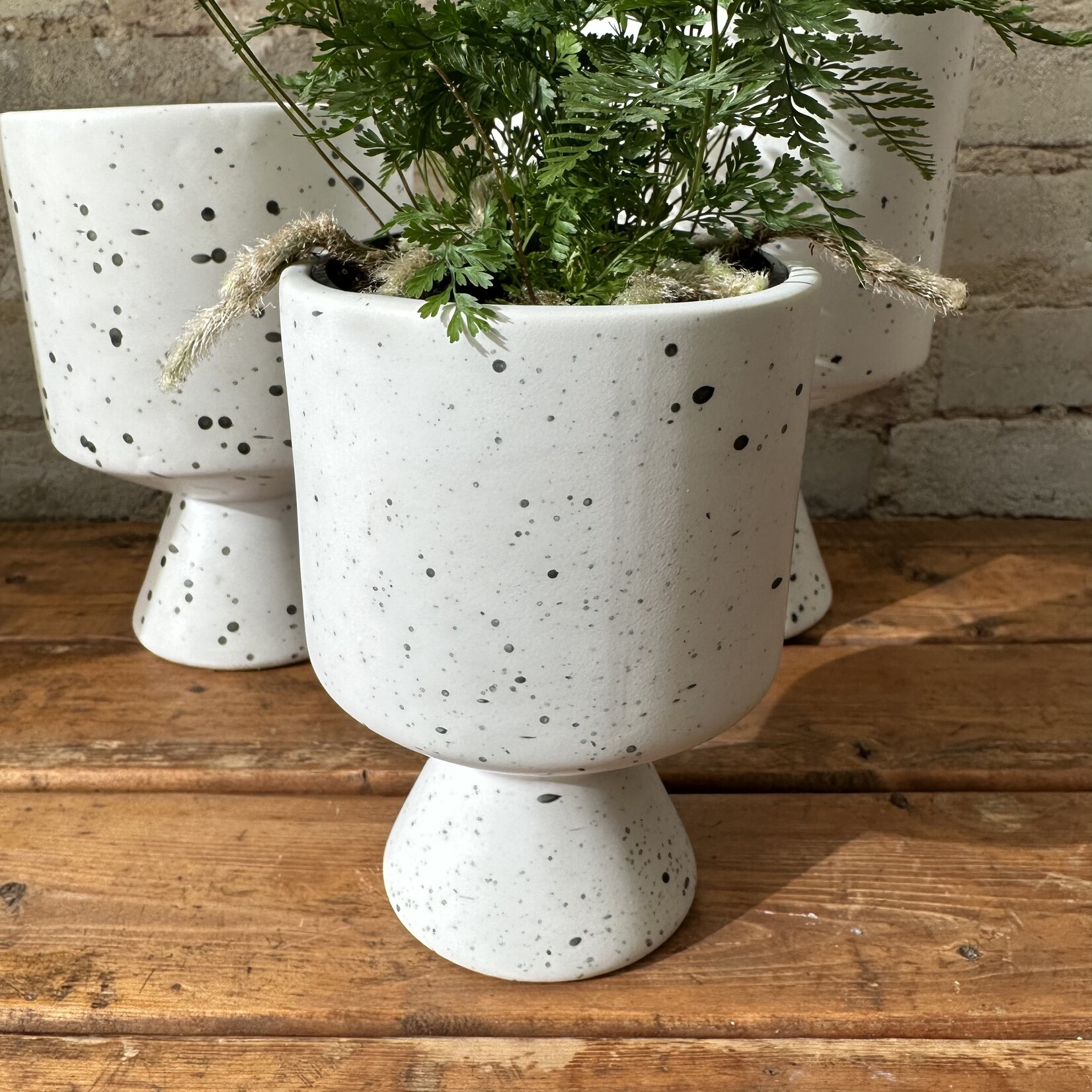 Assorted Pots DeVille Pot Speckled (fits 4")