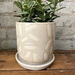 Sundae Pot White (fits 4")
