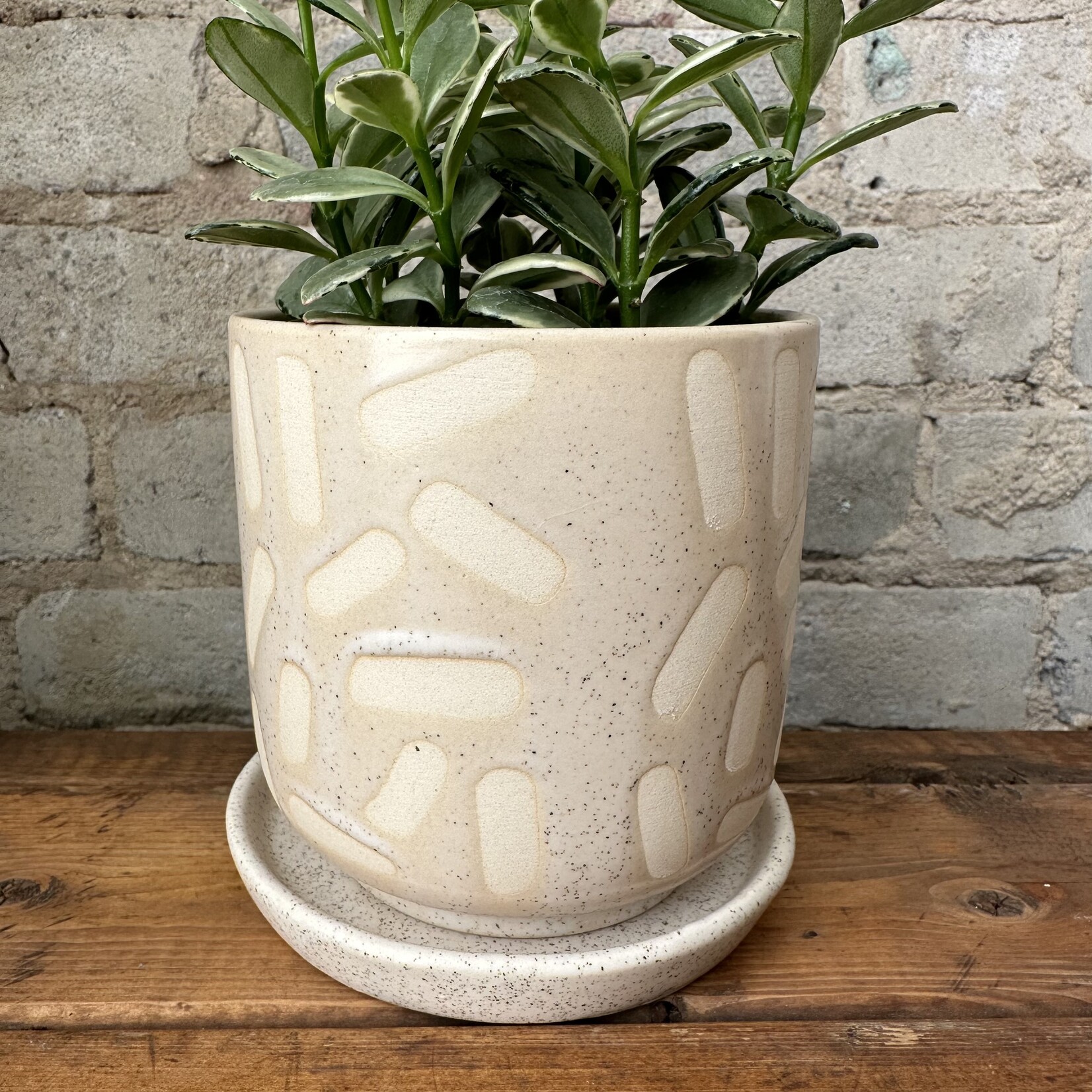 Sundae Pot White (fits 4")
