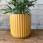 Beam Pot (fits 6") Yellow
