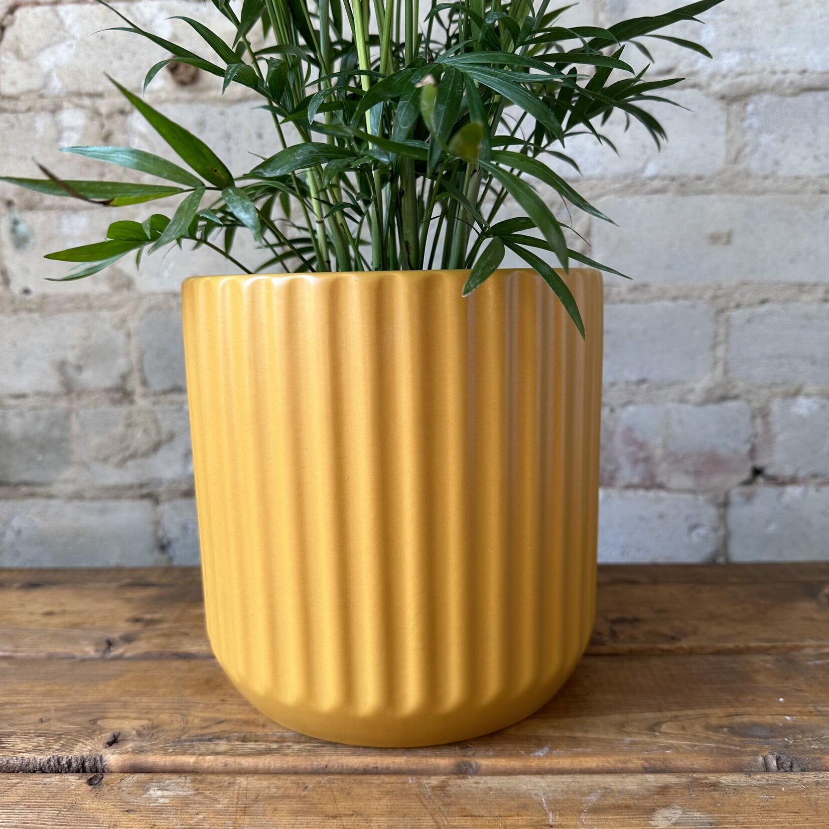 Beam Pot (fits 6") Yellow