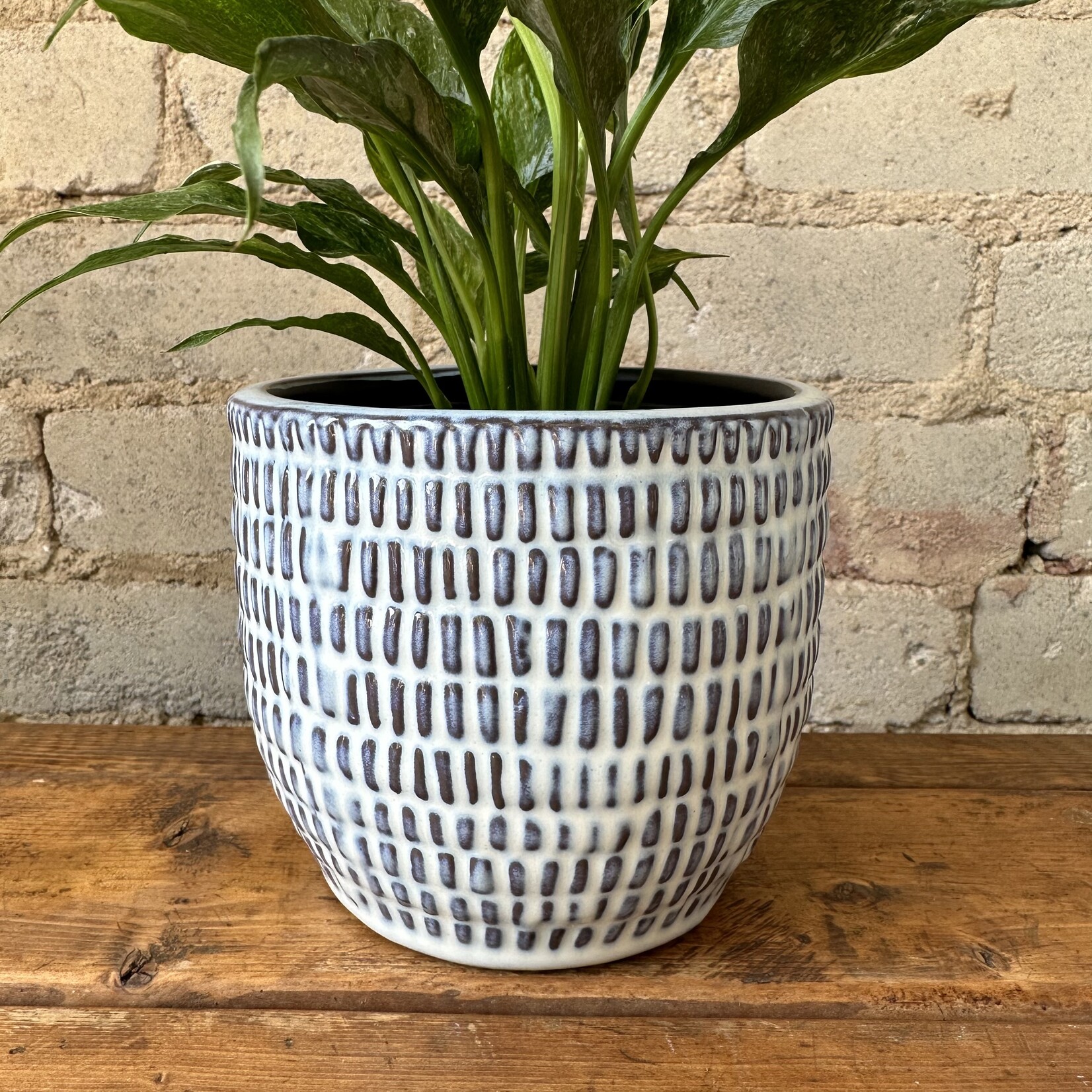 Jupiter Pot (fits 4")