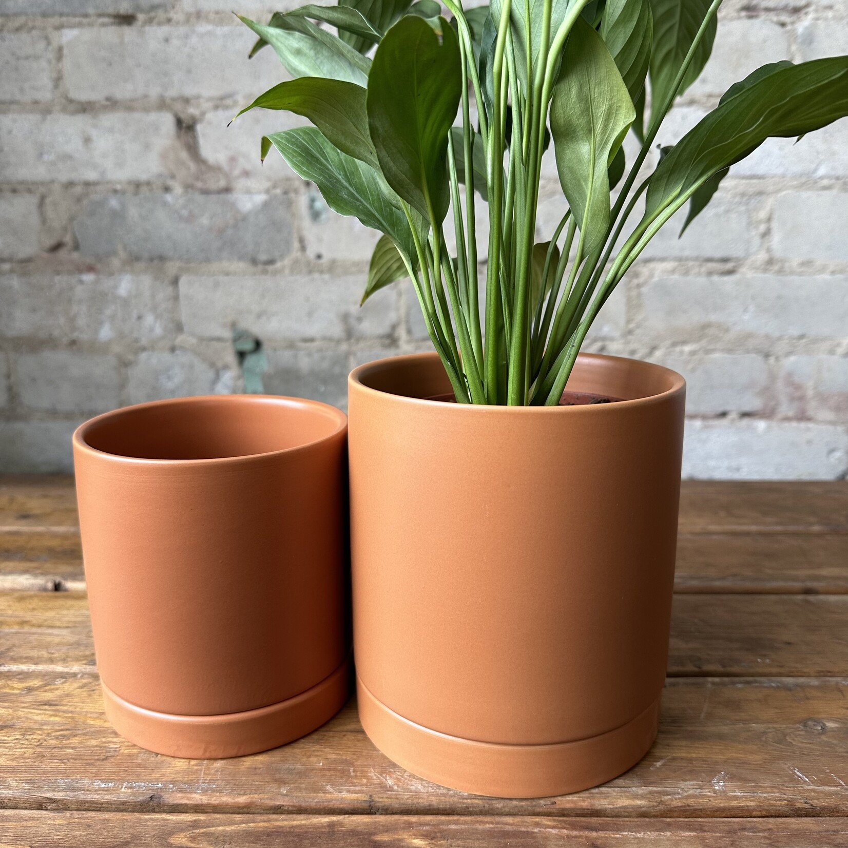Assorted Pots Romey Pot Terracotta (fits 5")