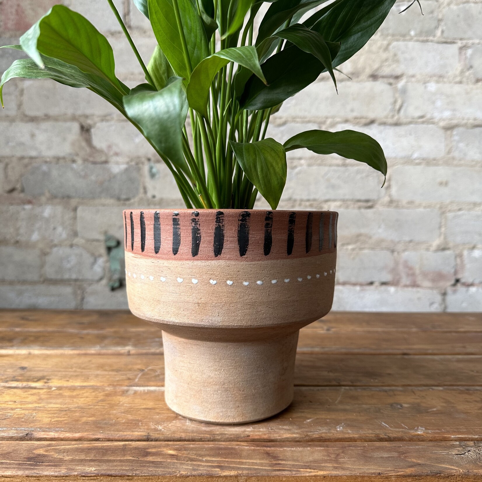 Hansley Pot (fits 5")