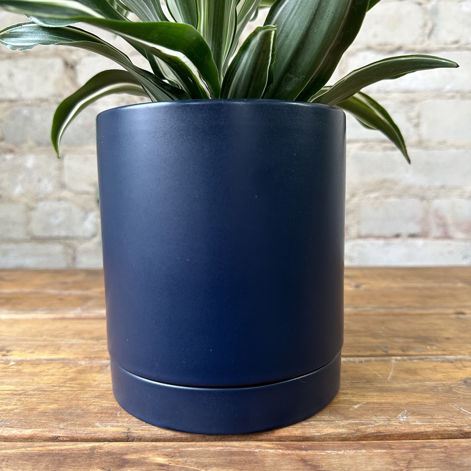 Romey Pot Navy (fits 4")