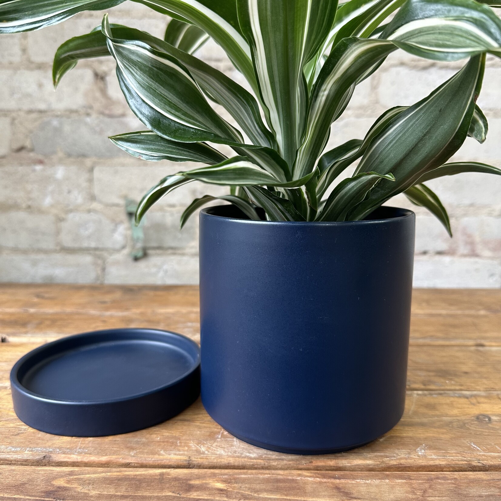 Romey Pot Navy (fits 4")