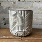 Assorted Pots Whitcomb Pot (fits 6")