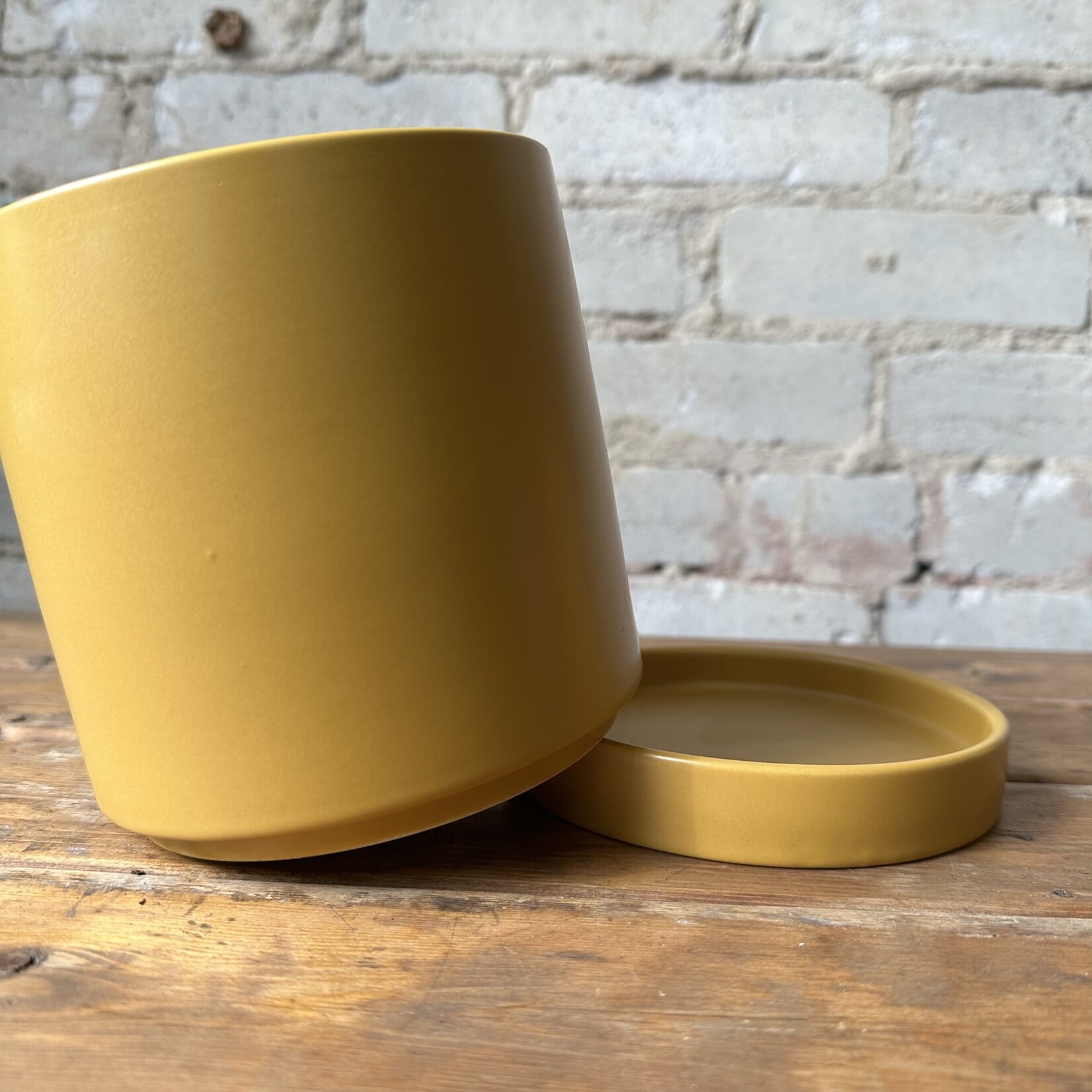 Romey Pot Yellow (Fits 6")