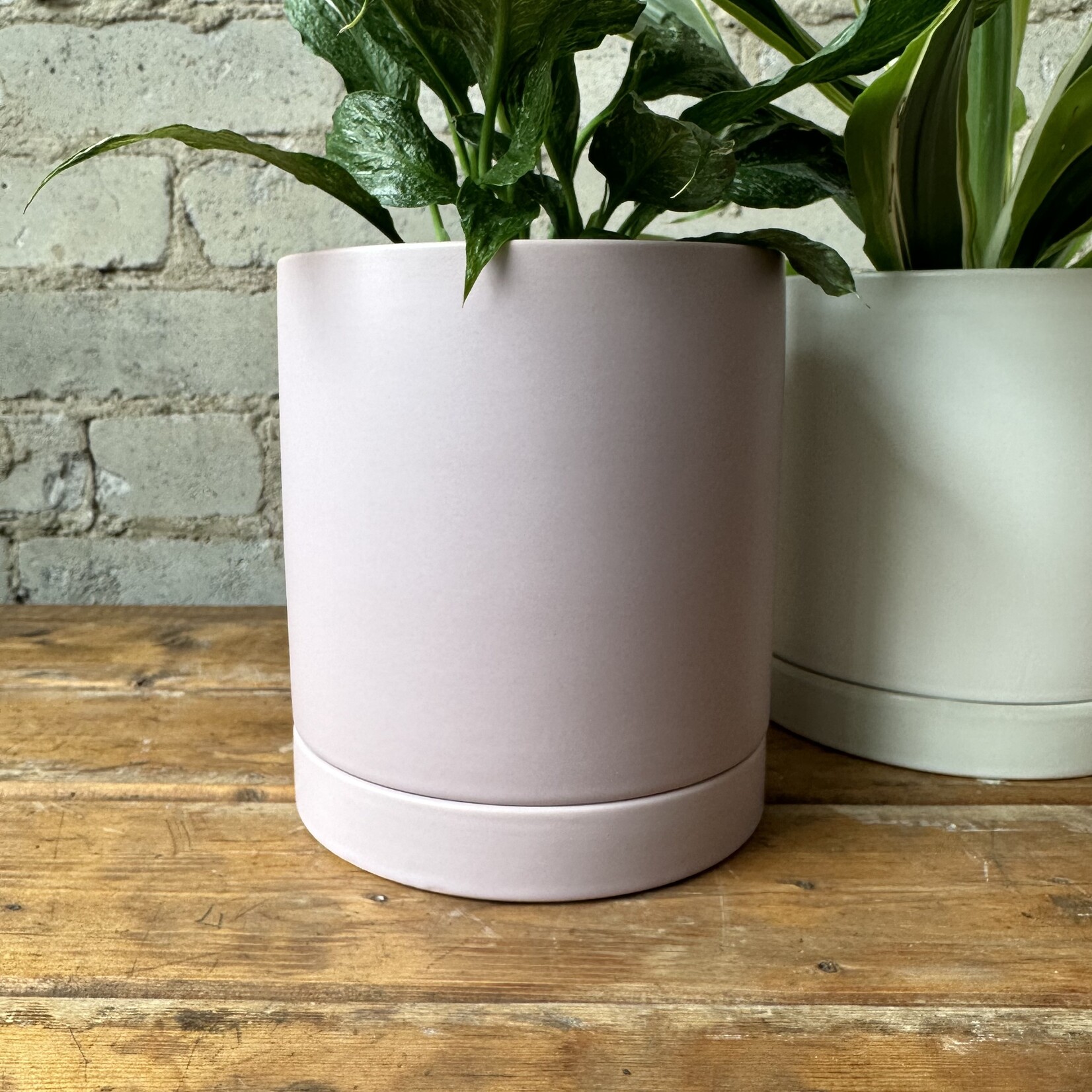 Romey Pot Purple (fits 5")