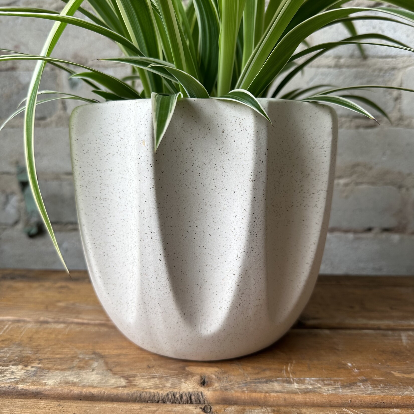 Beaumont Pot White (fits 6")
