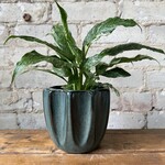 Beaumont Pot Green (fits 4.5")