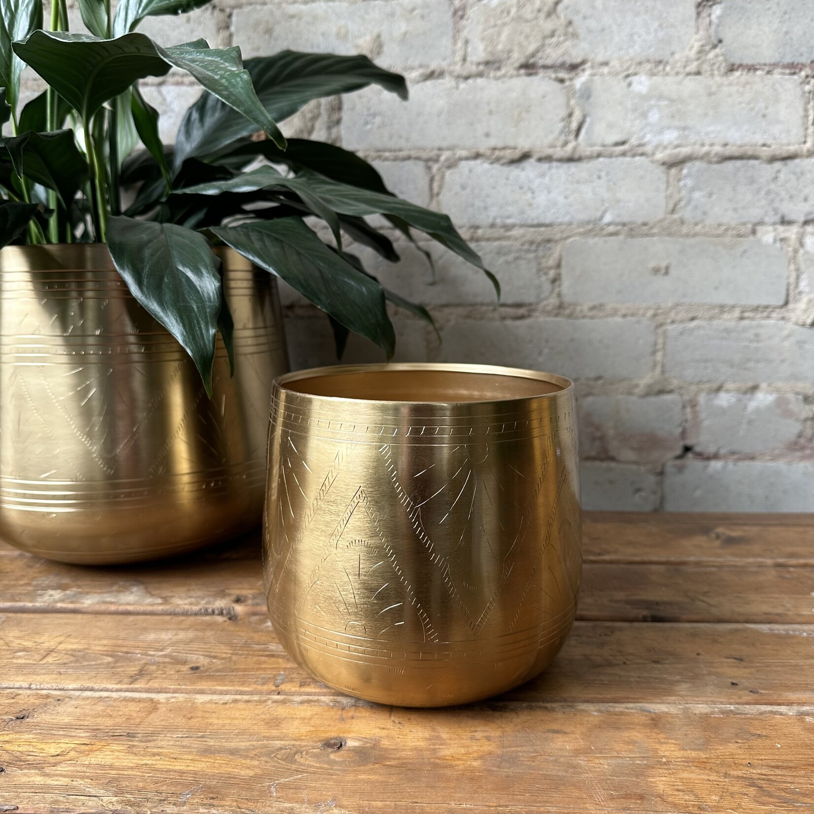 Assorted Pots Tulum Gold Pot (fits 5.5”)