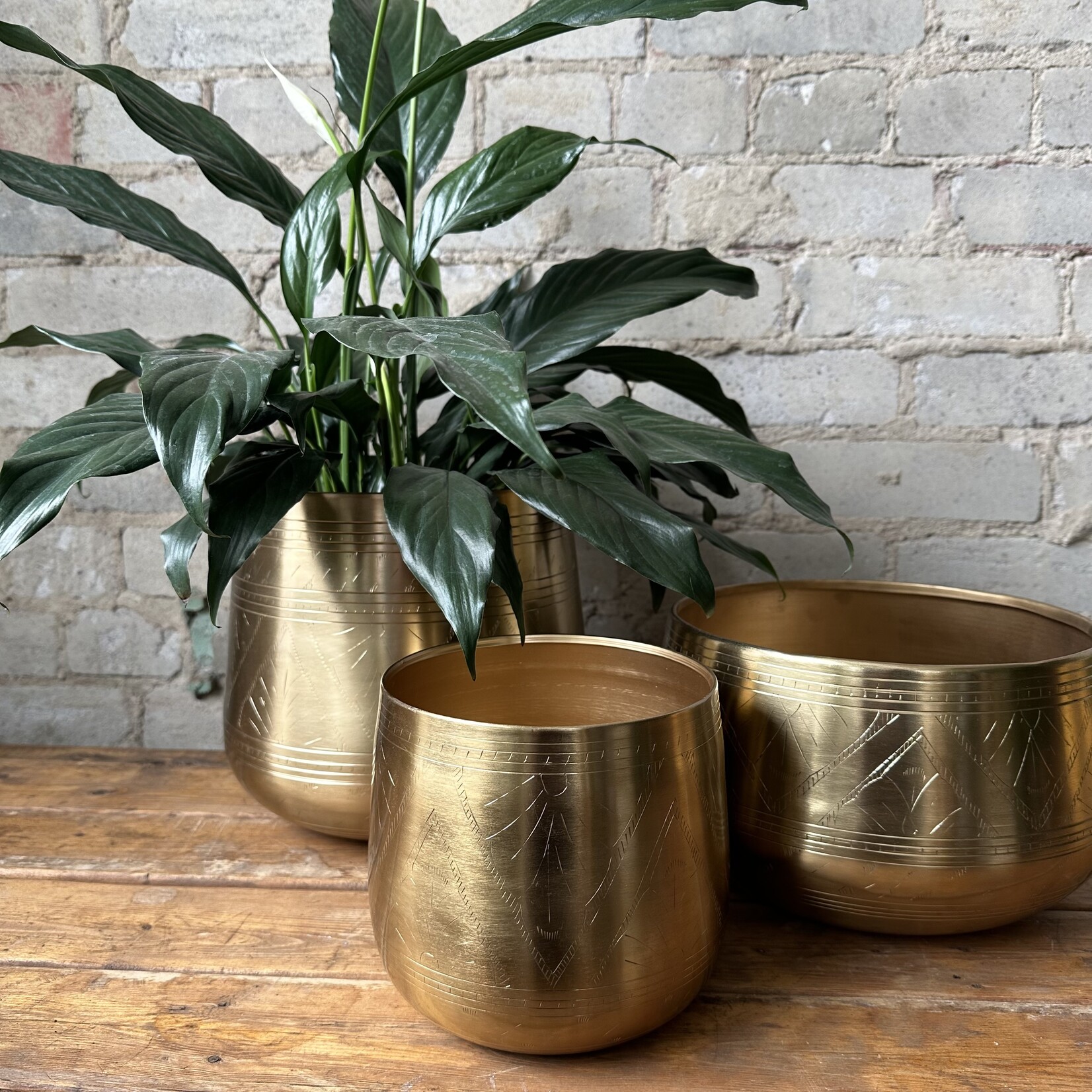 Assorted Pots Tulum Gold Pot (fits 5.5”)
