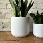 Kendall fits 6" White