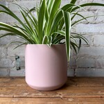 Kendall fits 6" Pink